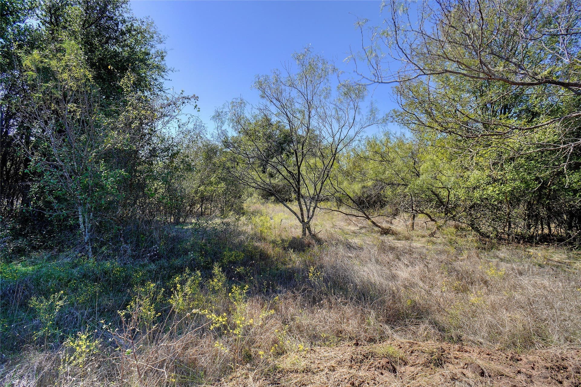 20 acres in Hood County gallery image 3