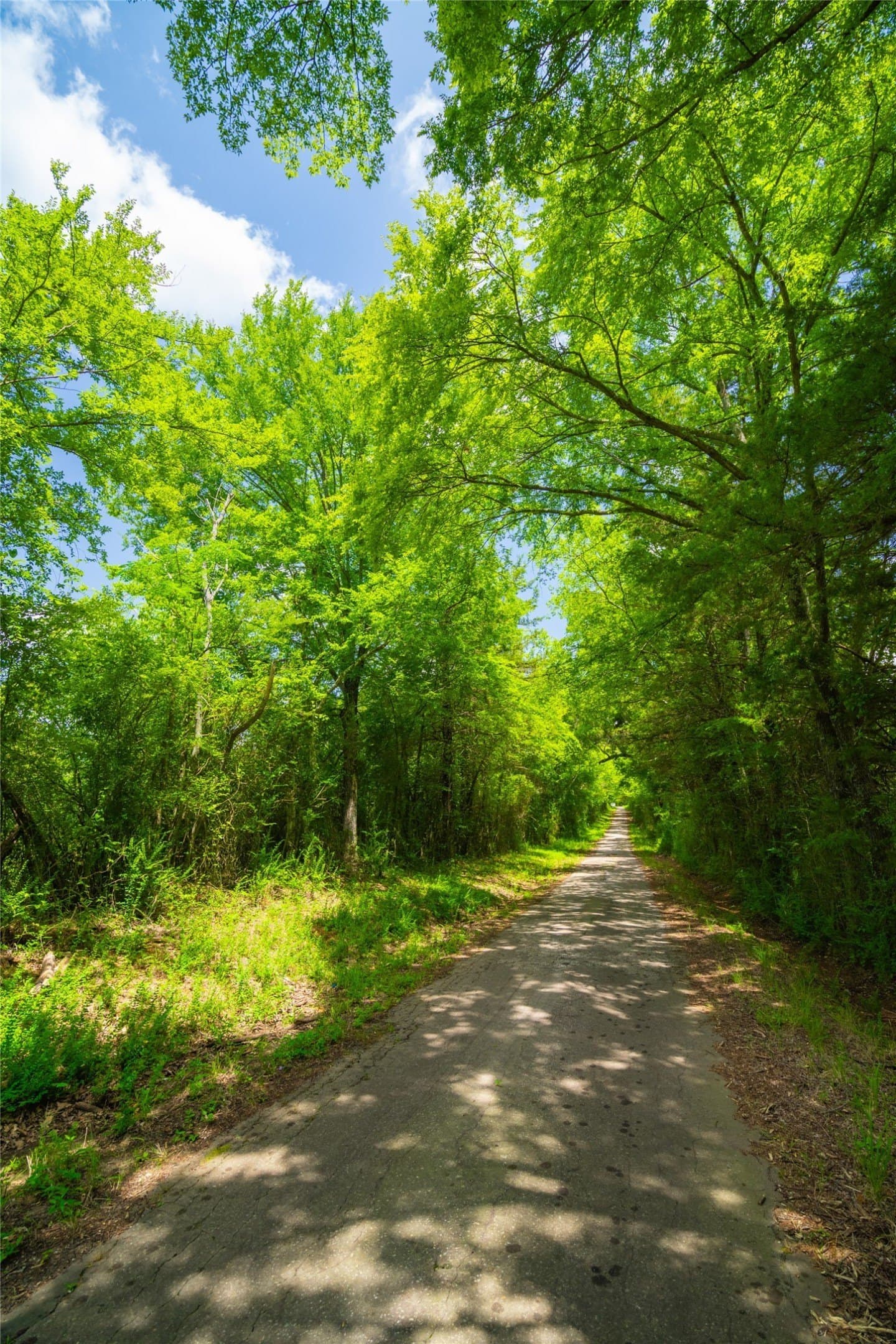 89 acres in Morris County - photo 13
