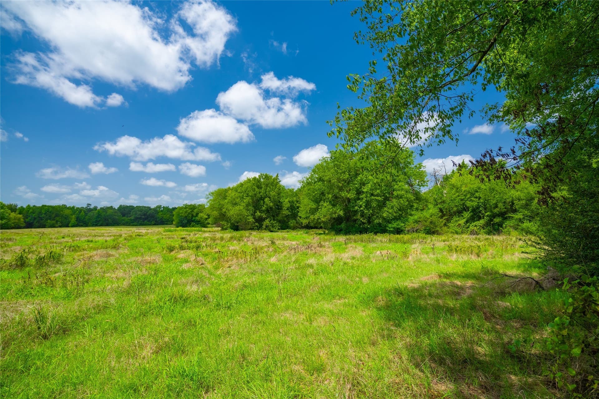 89 acres in Morris County - photo 2