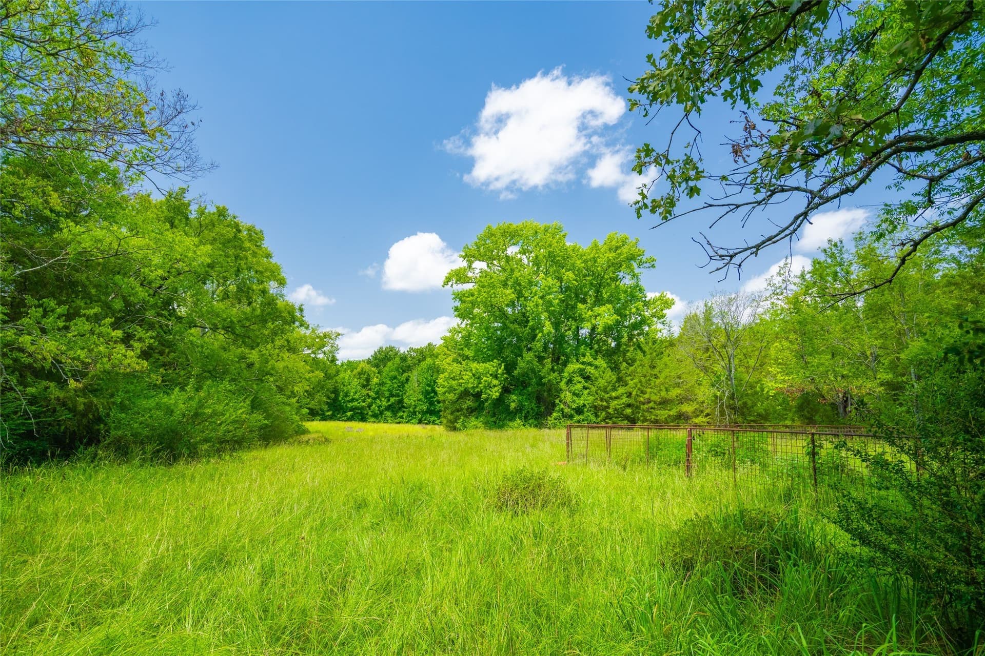 89 acres in Morris County - photo 9