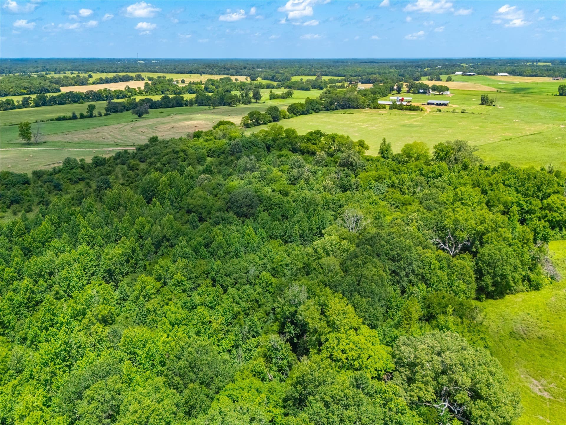 89 acres in Morris County - photo 15