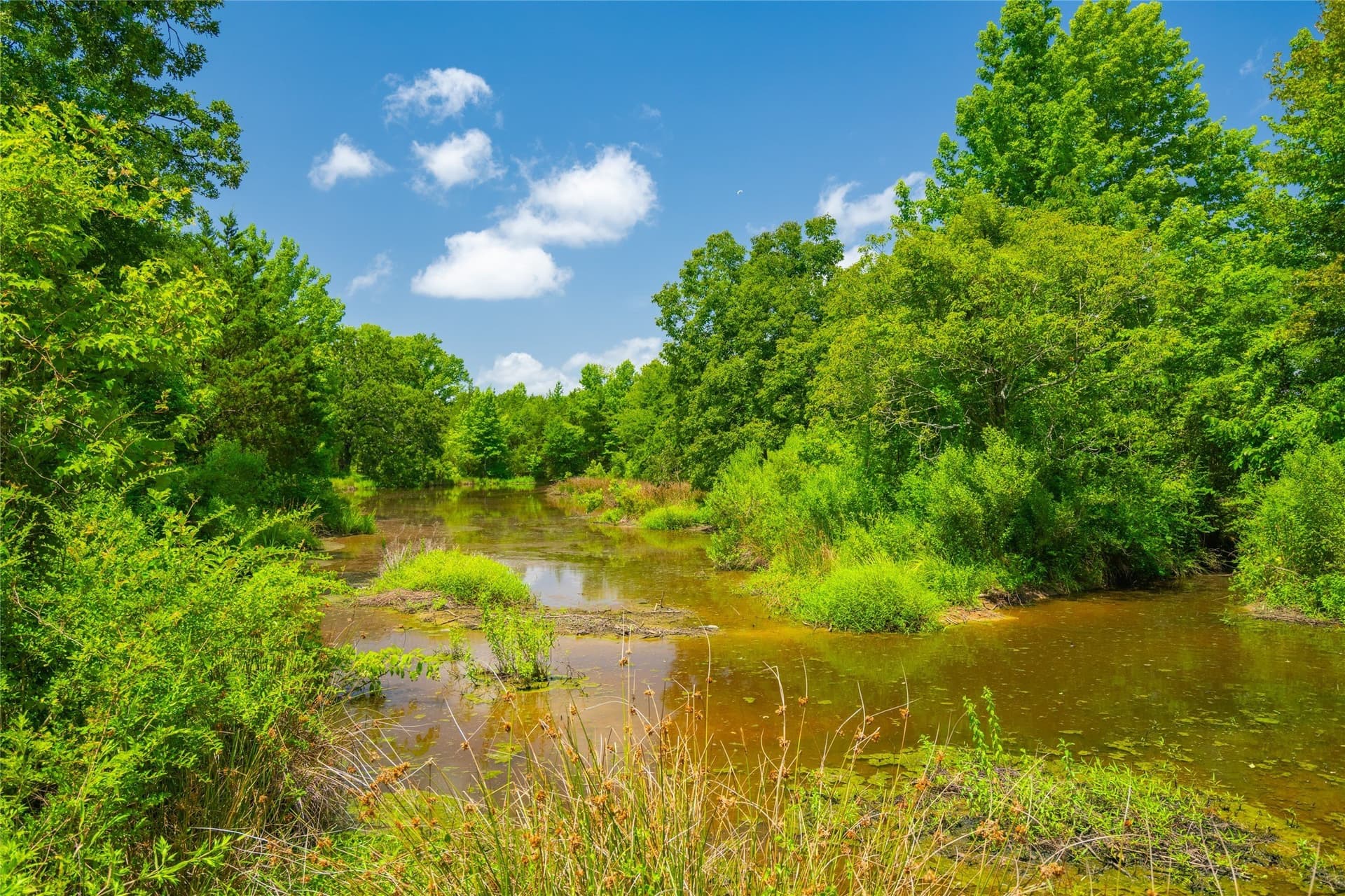 89 acres in Morris County - photo 6