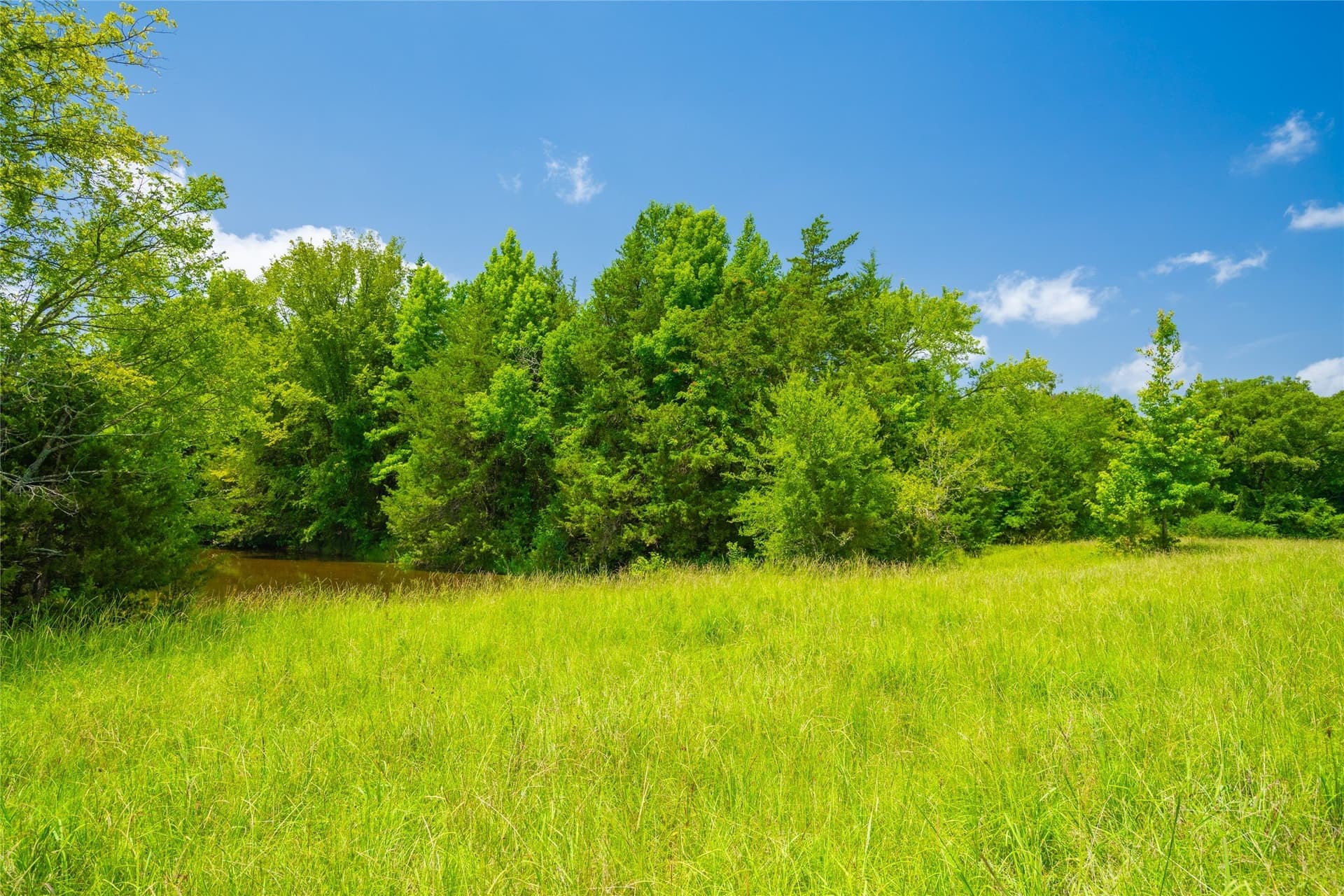 89 acres in Morris County - photo 3