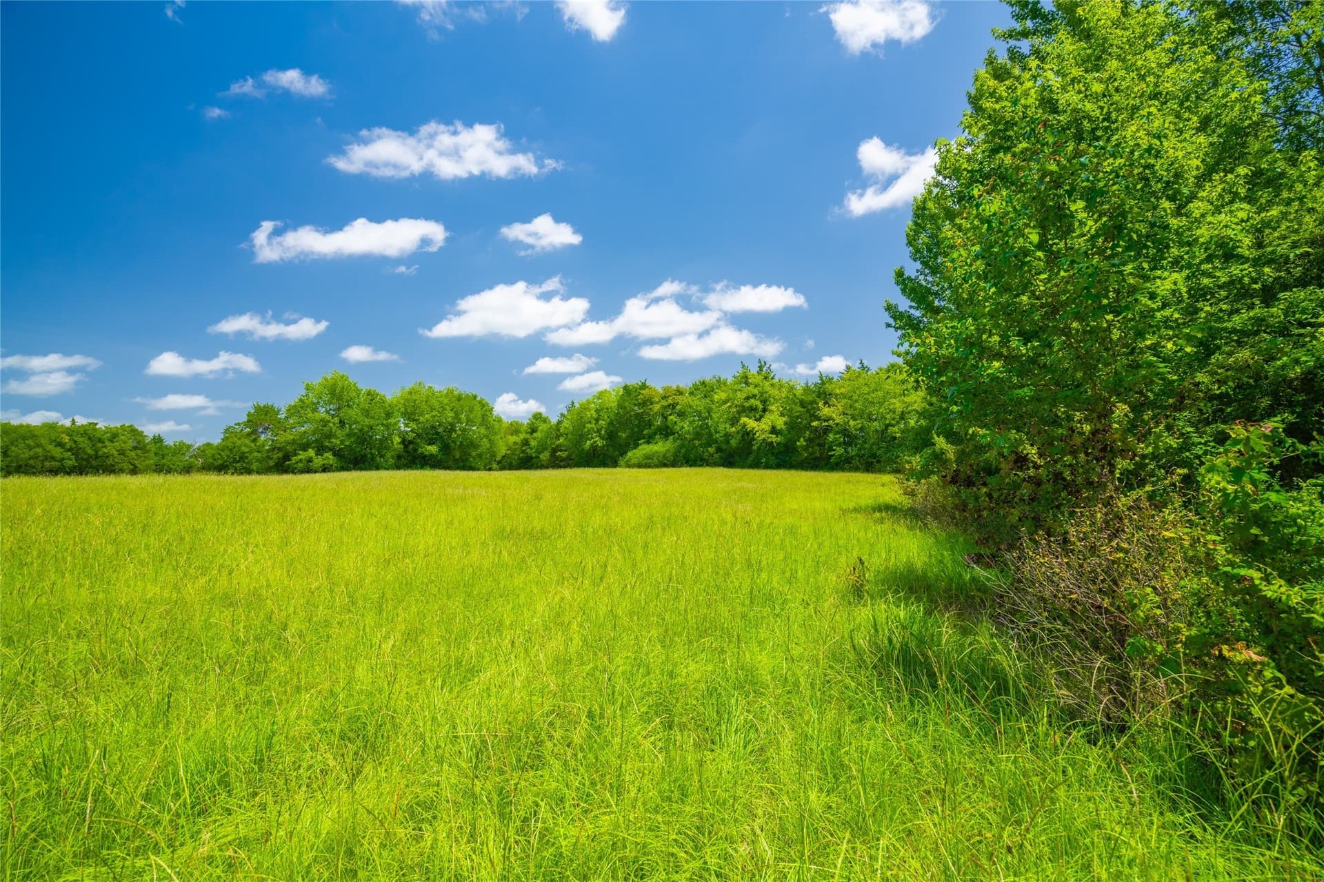 89 acres in Morris County - photo 4