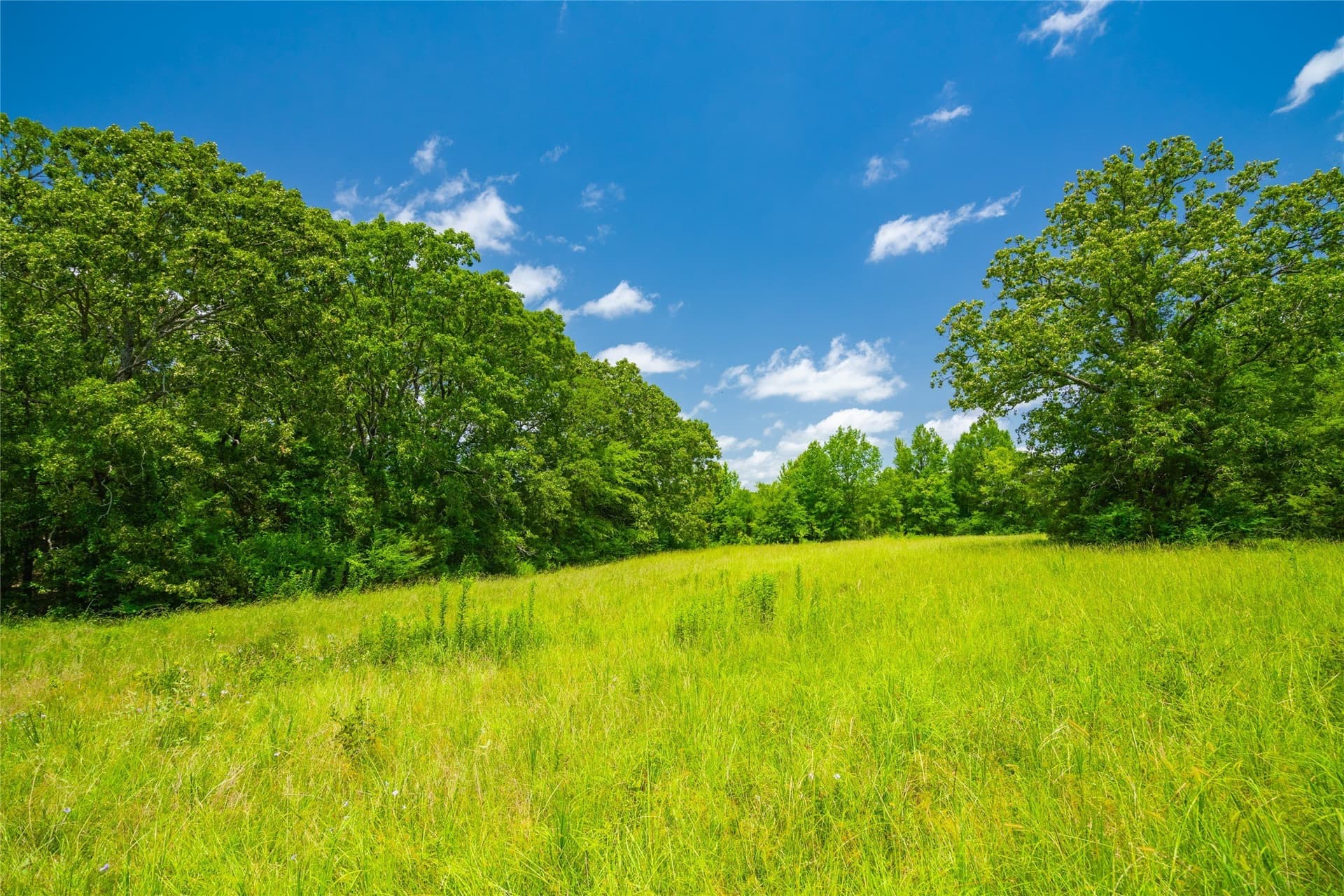 89 acres in Morris County - photo 11