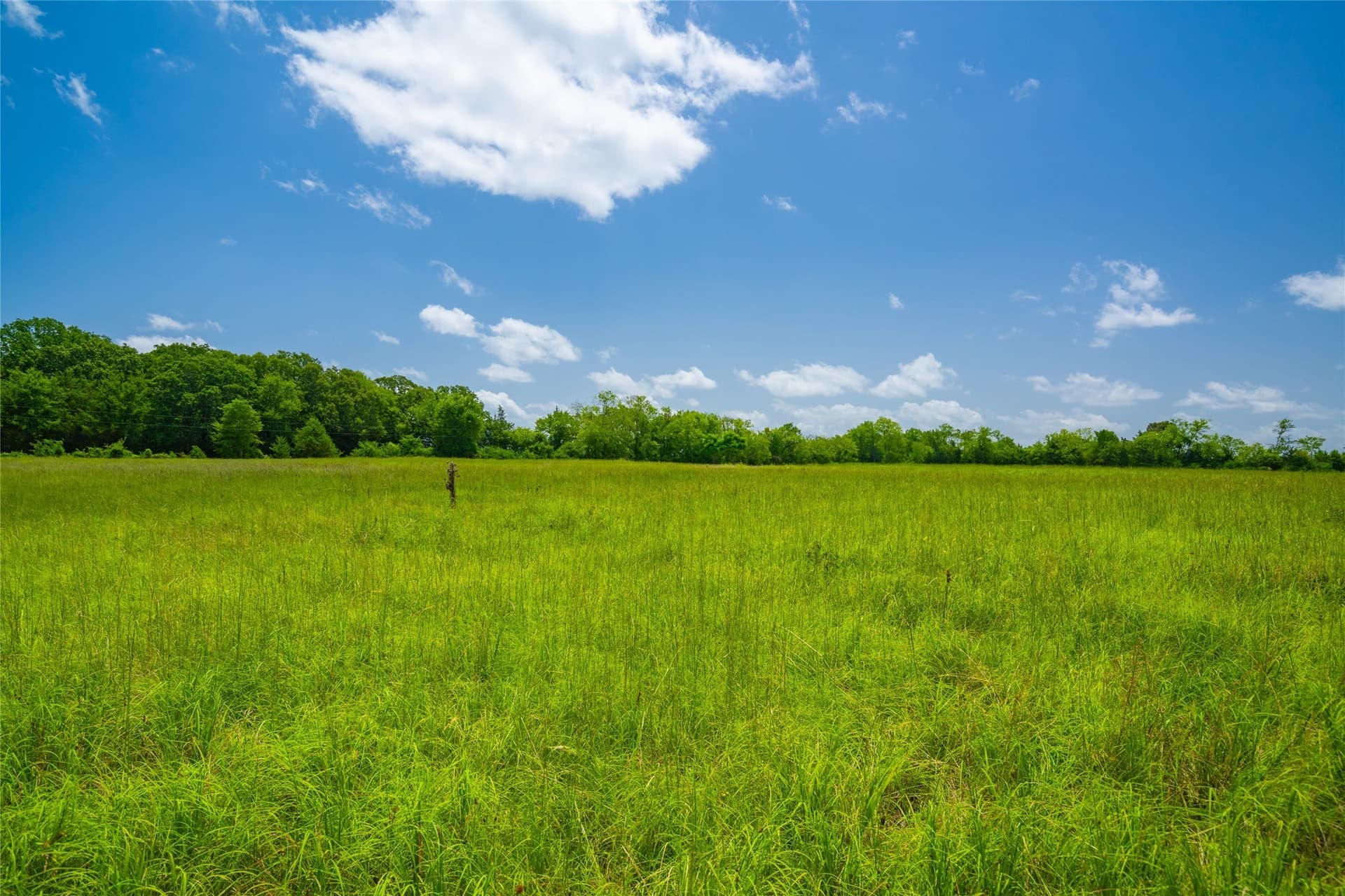 89 acres in Morris County - photo 10