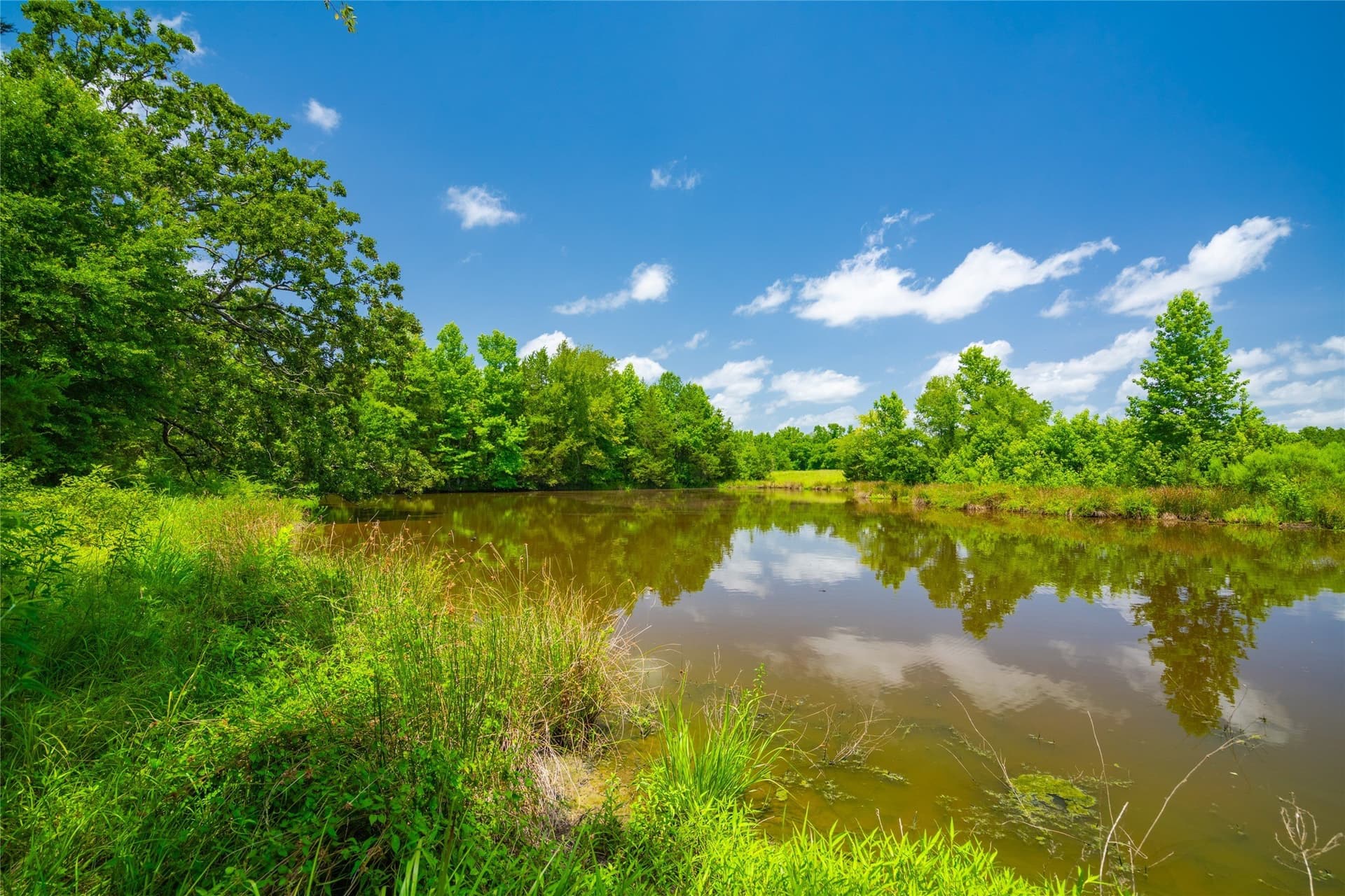 89 acres in Morris County - photo 7