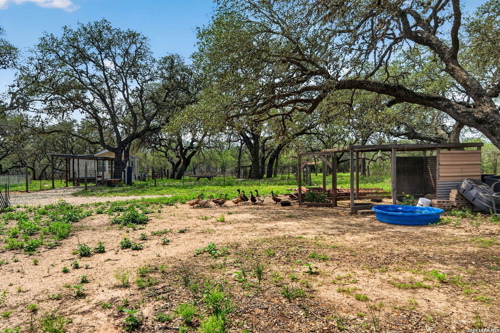 11 acres in Atascosa County - photo 29