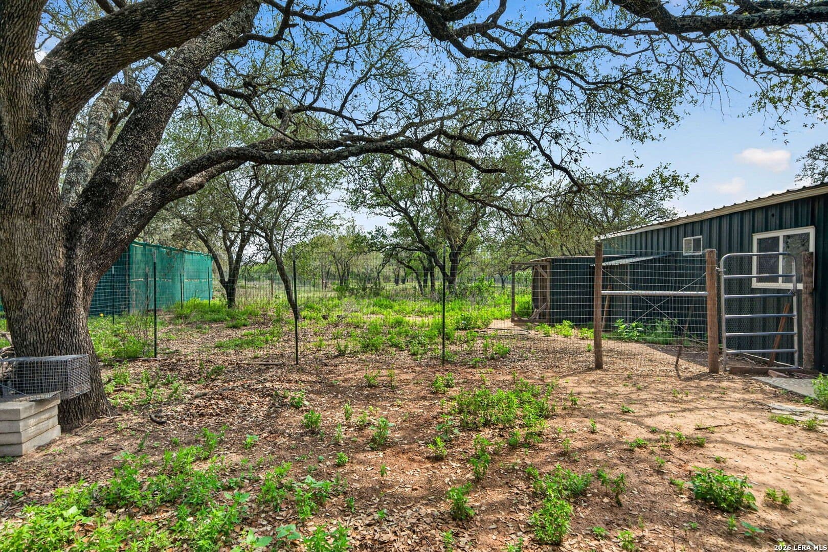 11 acres in Atascosa County - photo 26