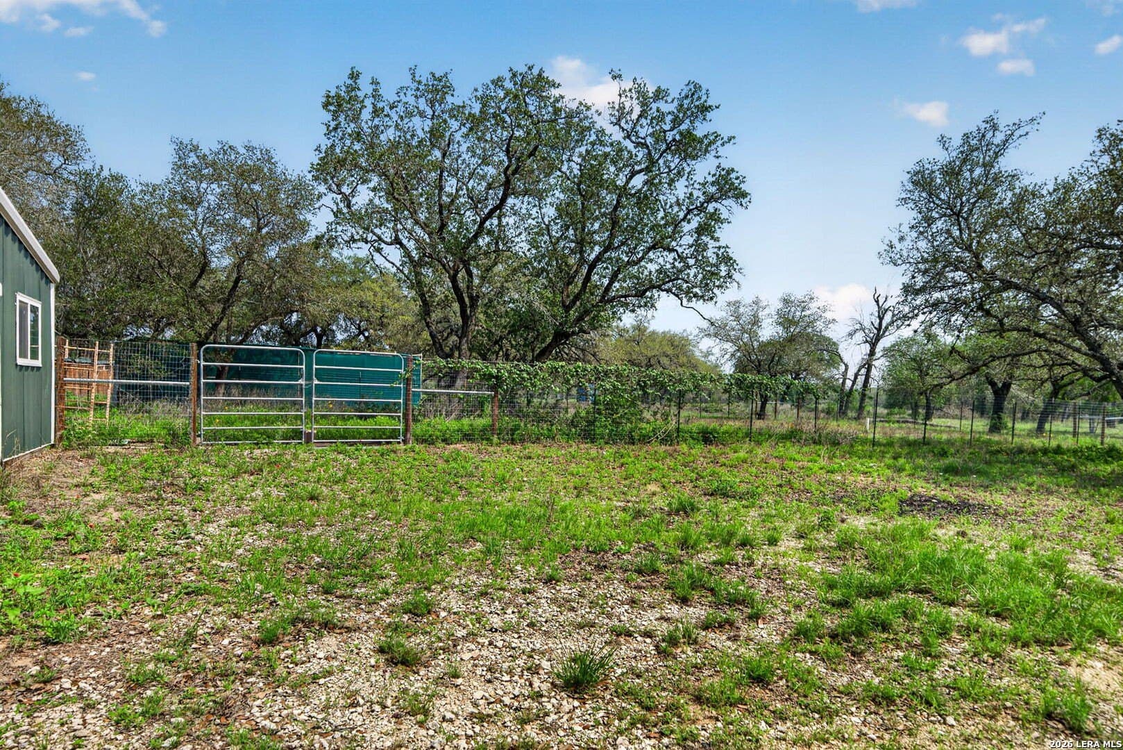 11 acres in Atascosa County - photo 33