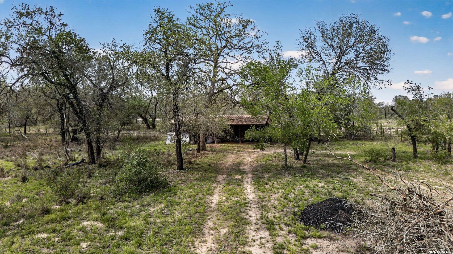 11 acres in Atascosa County - photo 50