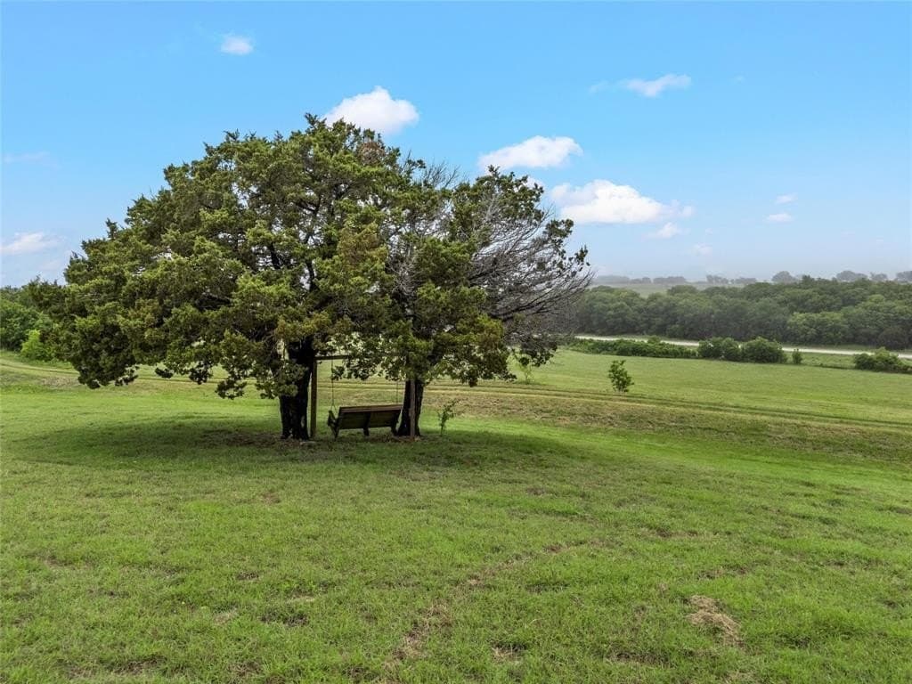 17.09 acres in McLennan County gallery image 4