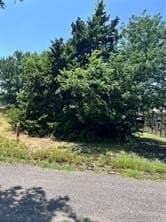 0.12 acres in Collin County gallery image 3