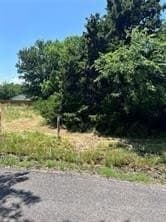 0.12 acres in Collin County gallery image 2