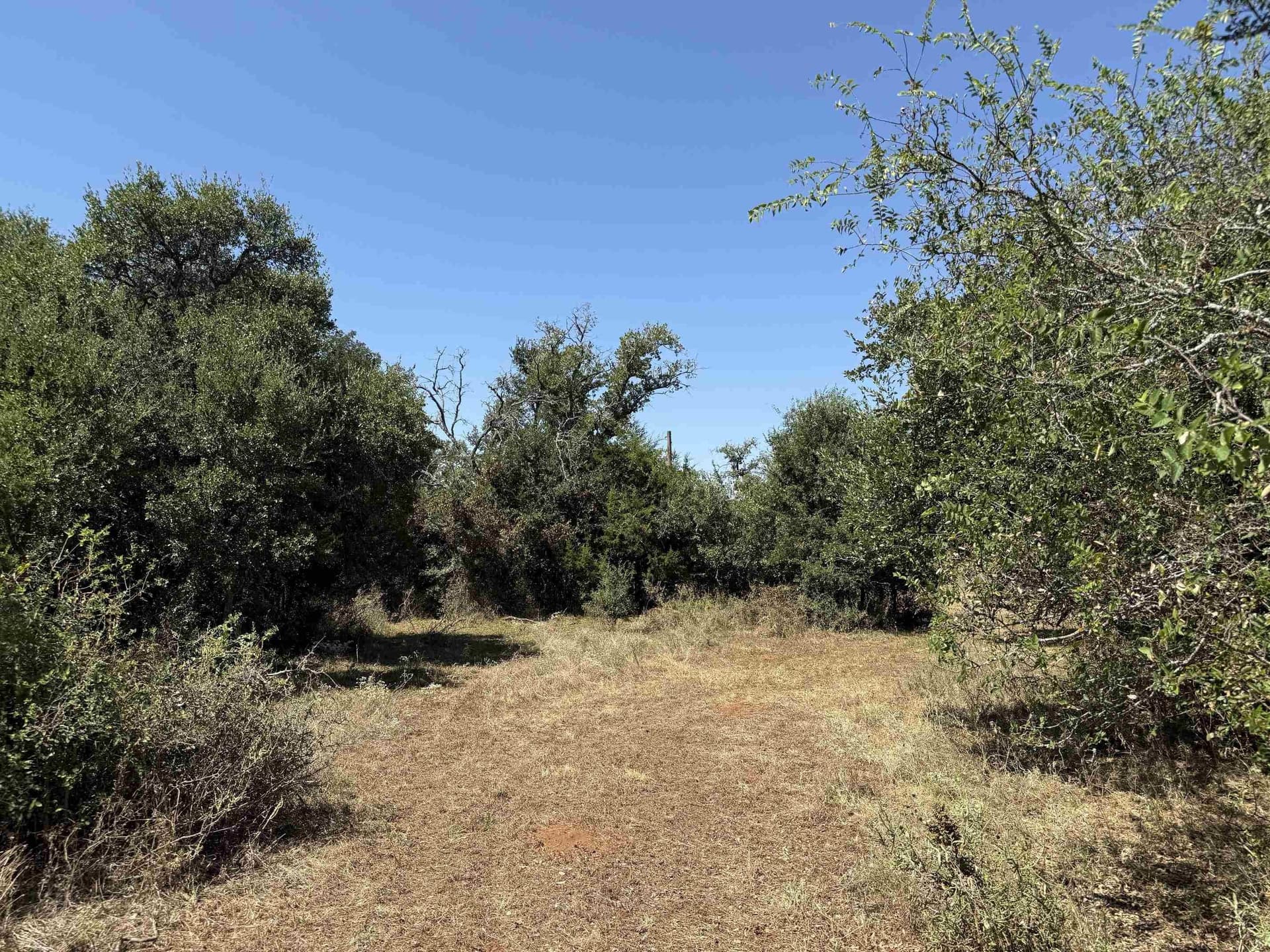 10.53 acres in San Saba County - photo 18