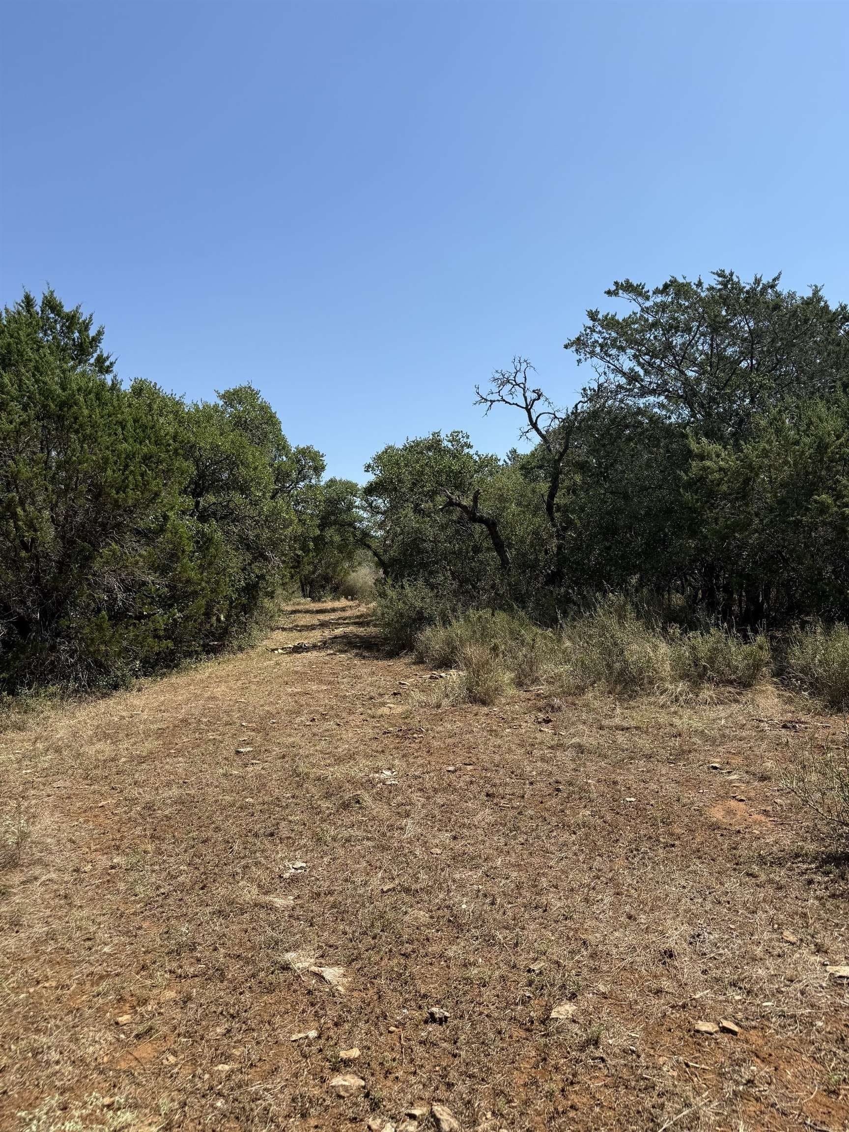 10.53 acres in San Saba County - photo 17