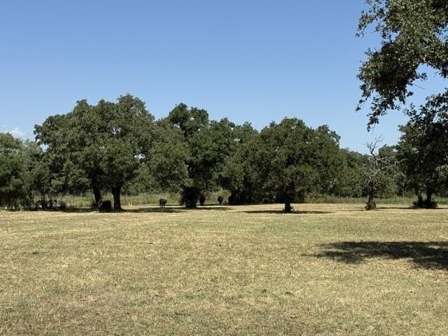 10.53 acres in San Saba County - photo 23