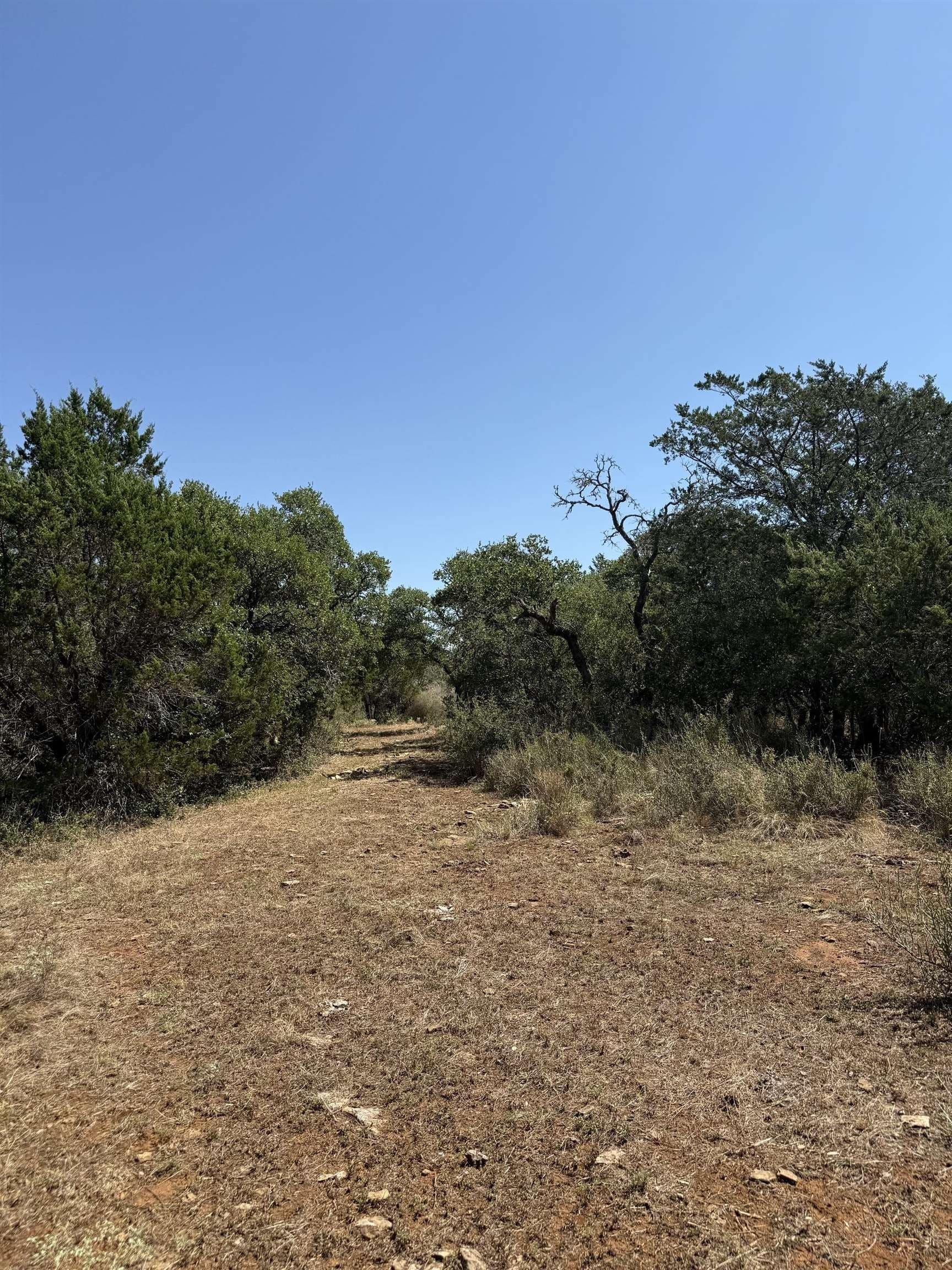 10.53 acres in San Saba County - photo 16