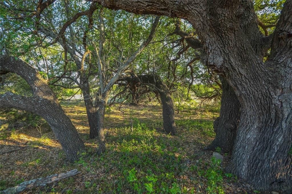 203.46 acres in Coleman County featured view