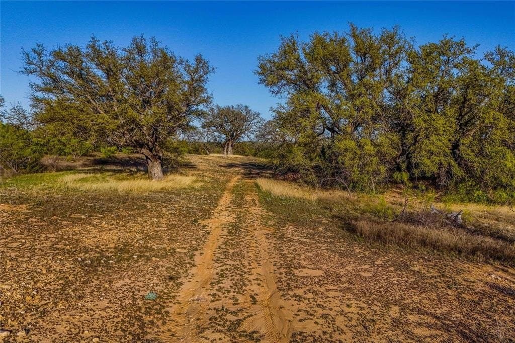 203.46 acres in Coleman County gallery image 4
