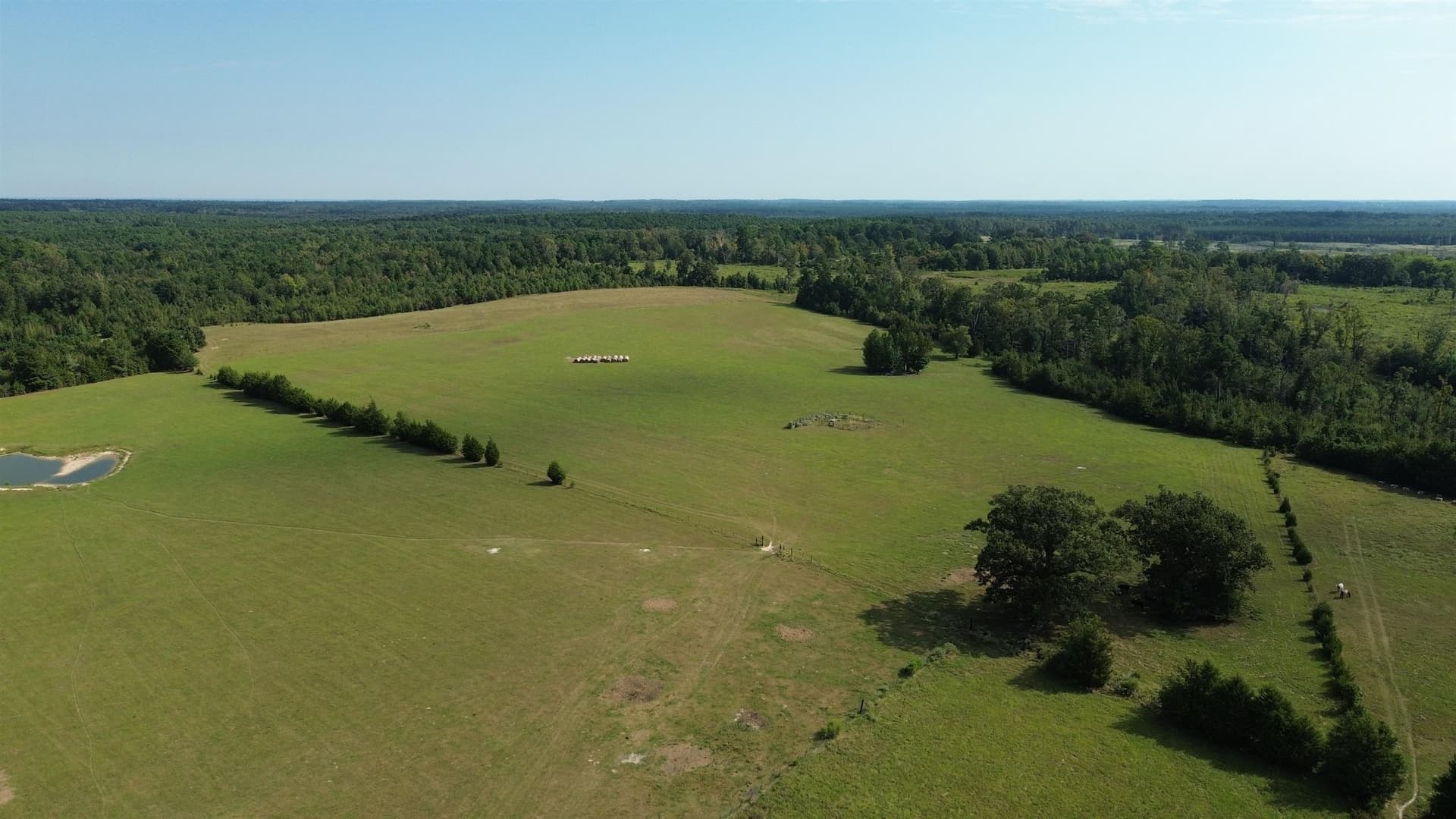 28.12 acres in Cass County - photo 2