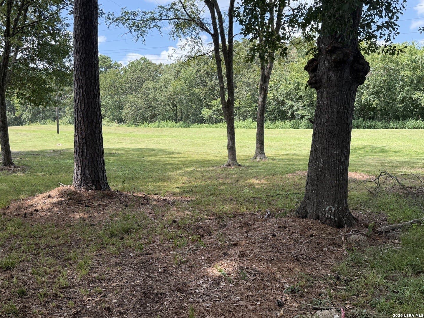 0.18 acres in Montgomery County gallery image 4