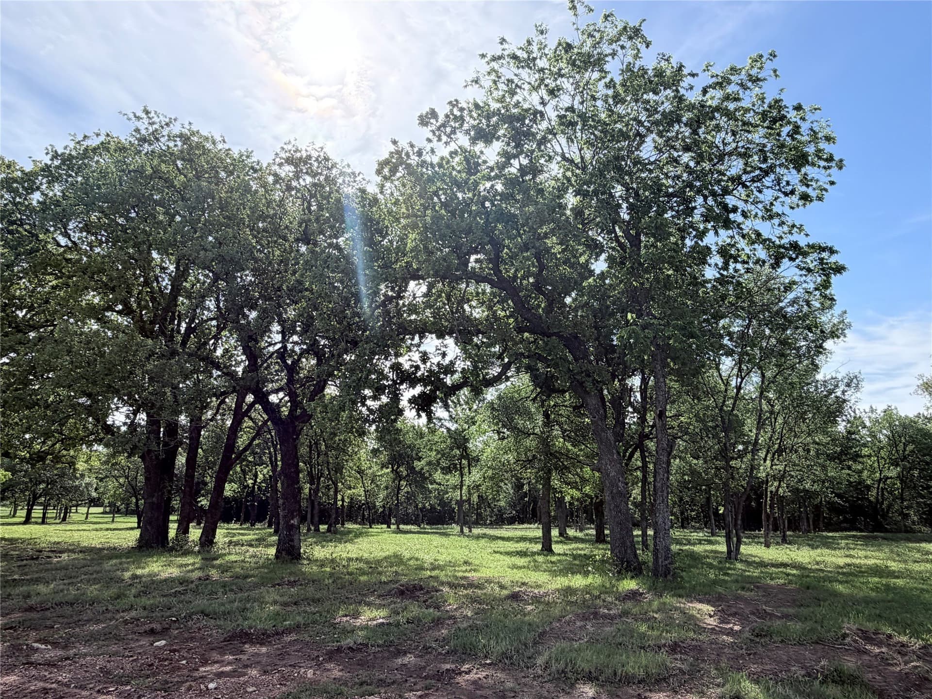 3.31 acres in Hill County gallery image 2