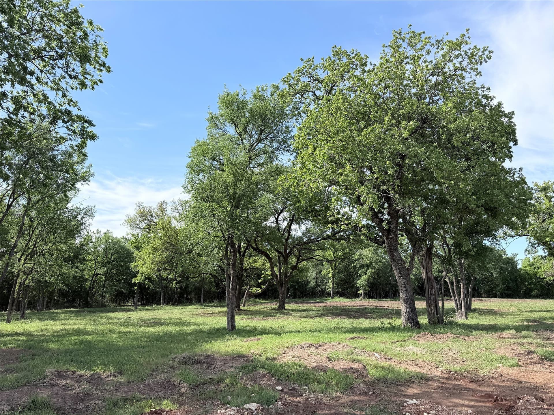 3.31 acres in Hill County featured view