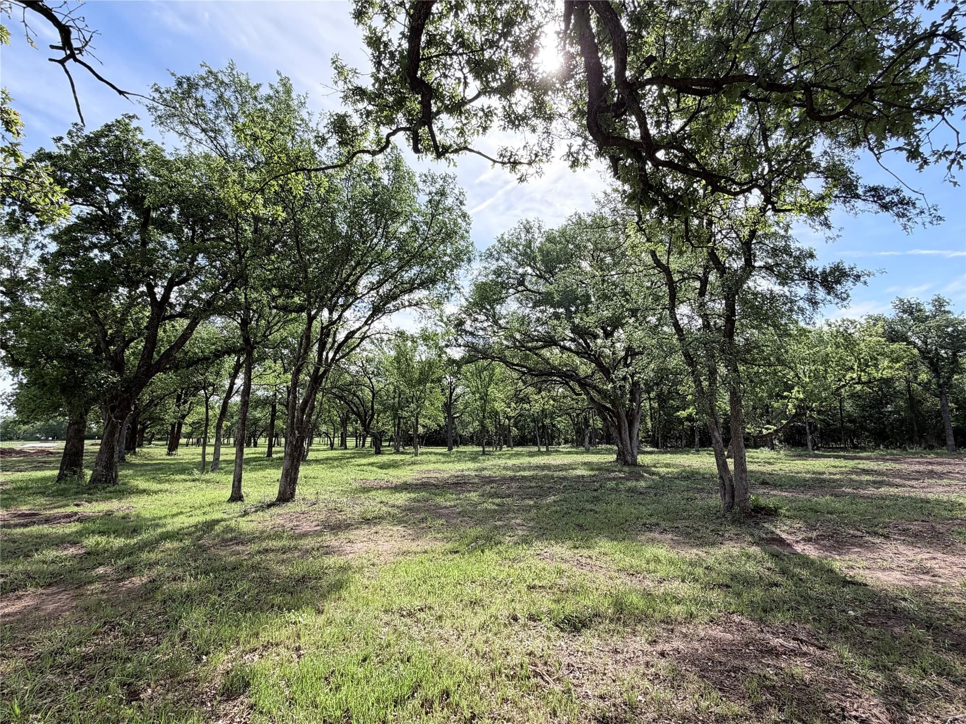 3.31 acres in Hill County gallery image 3