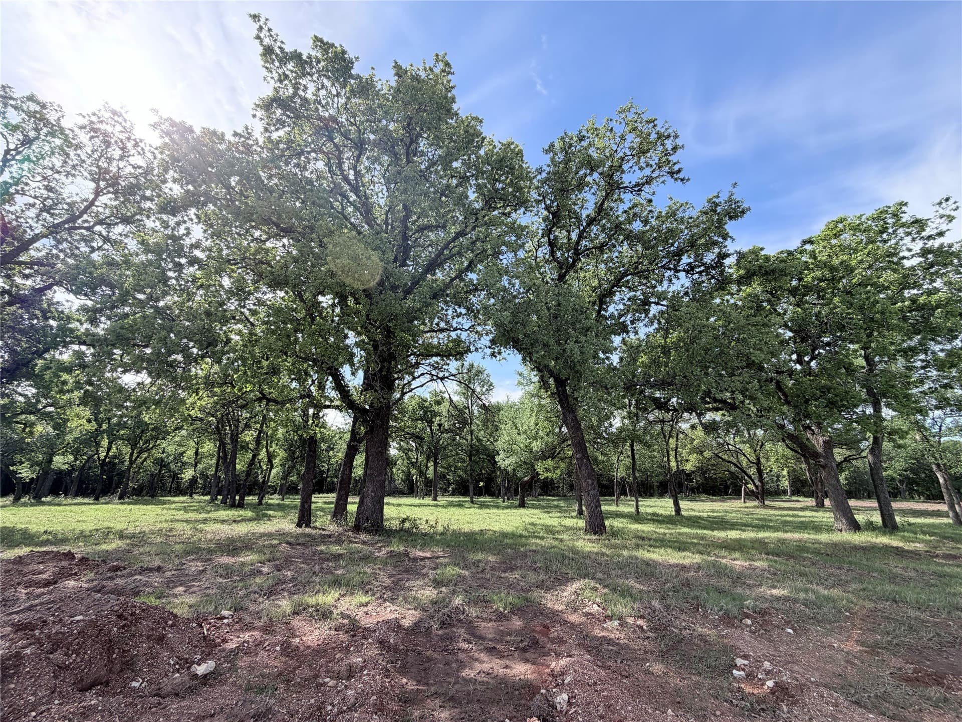 3.31 acres in Hill County gallery image 4