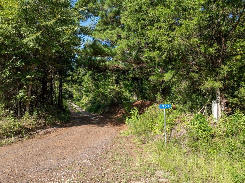 7.67 acres in ANDERSON County gallery image 3