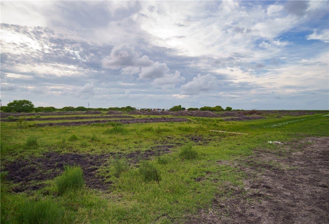 10.99 acres in Nueces County gallery image 2
