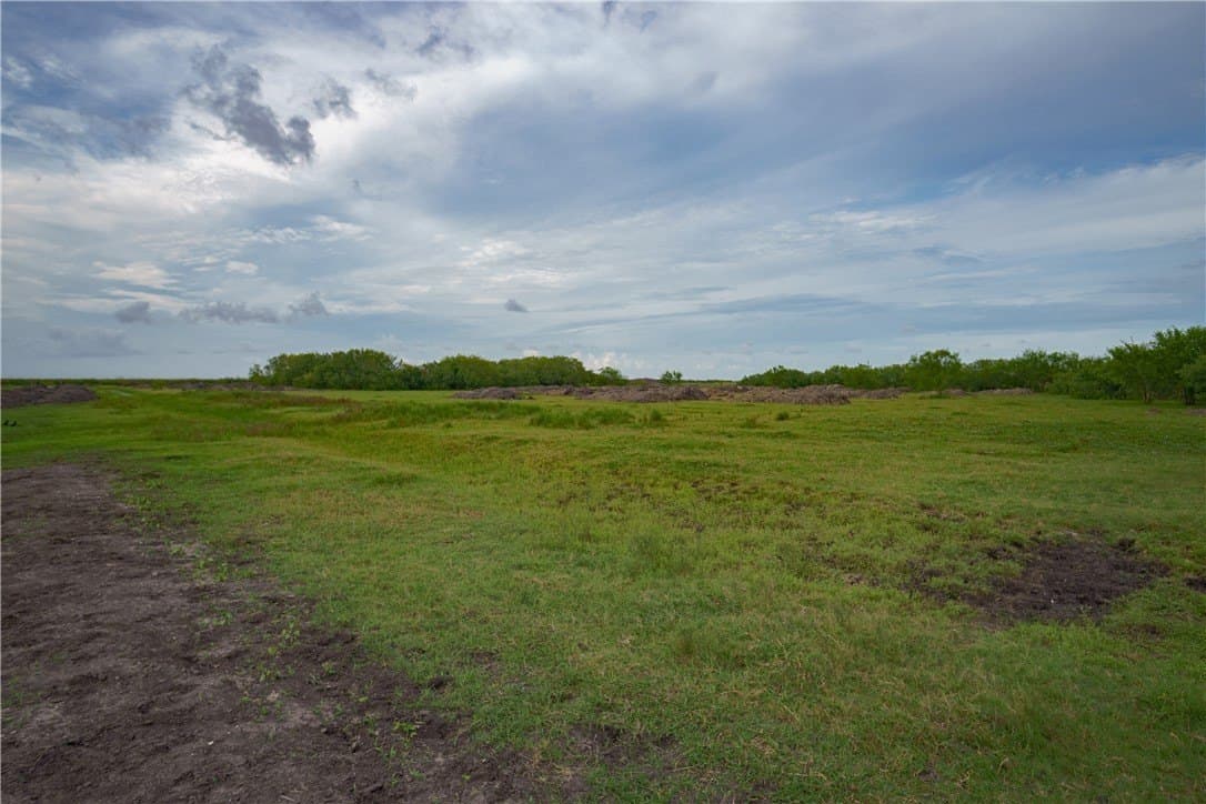10.99 acres in Nueces County gallery image 3