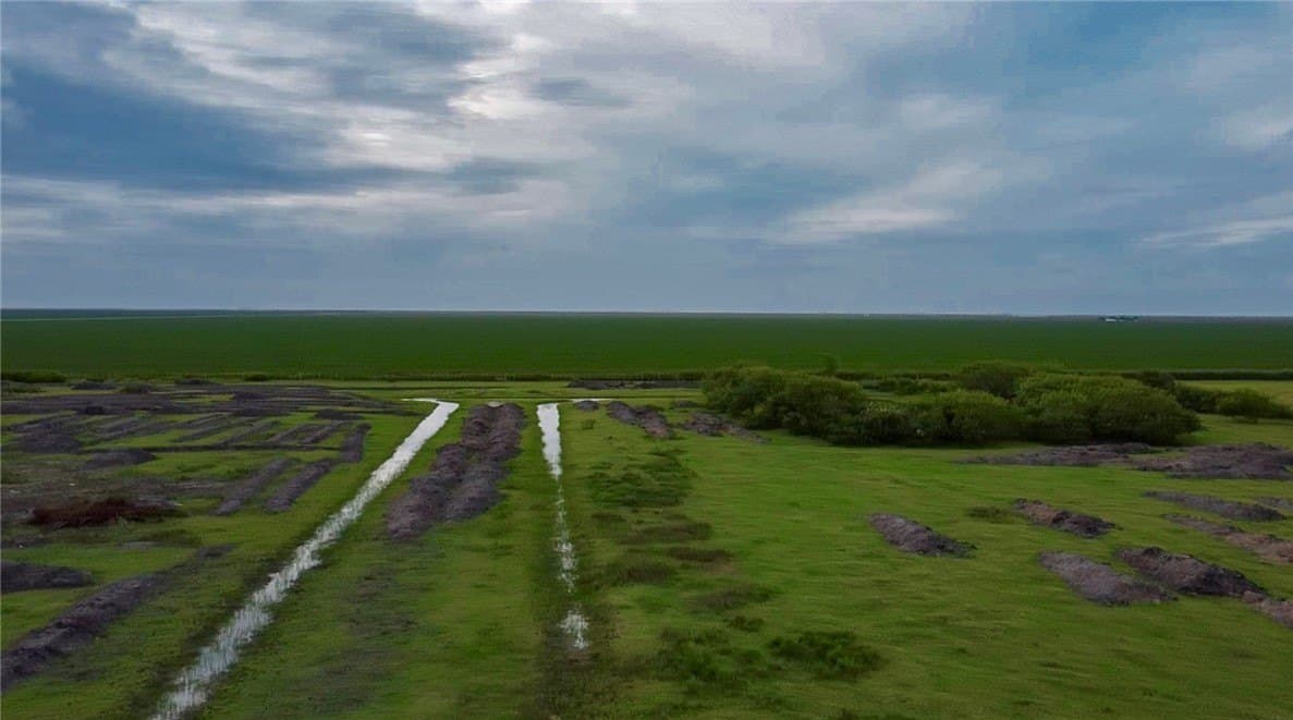 10.99 acres in Nueces County featured view