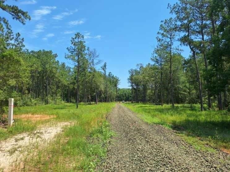 12.42 acres in Texas County