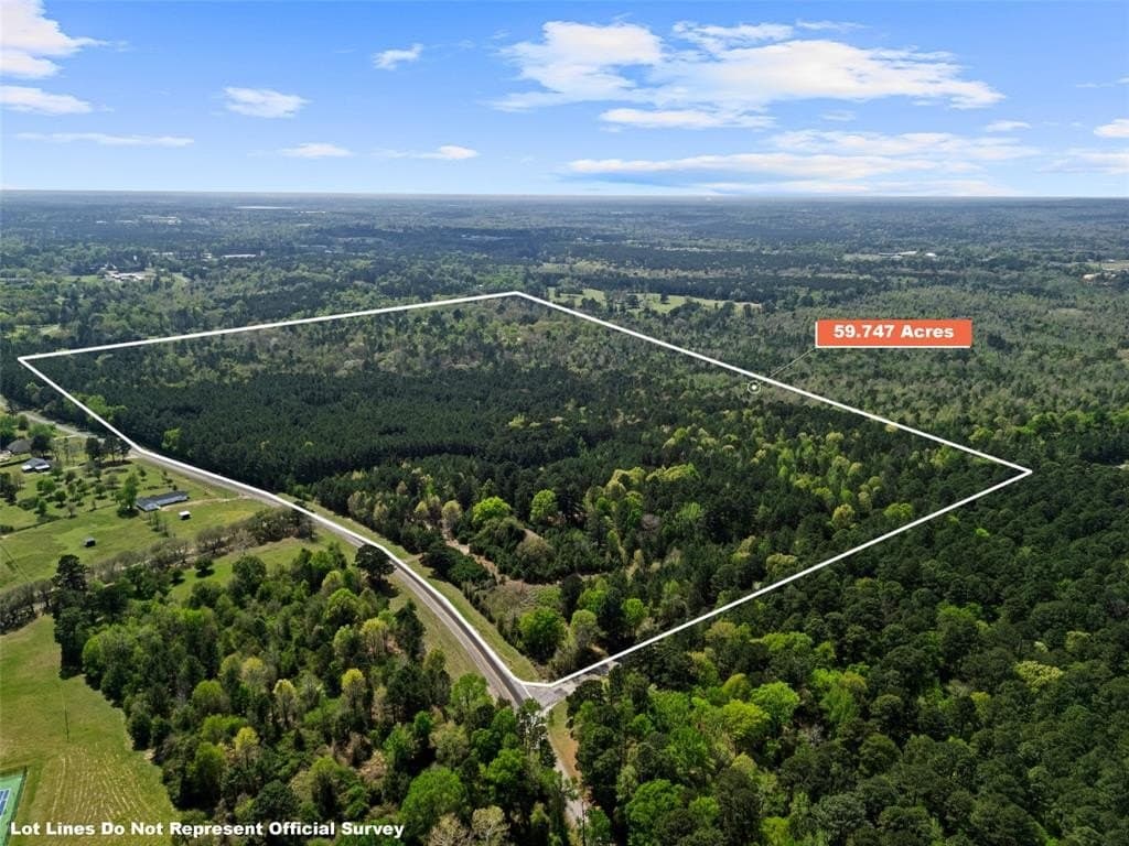 59.75 acres in Gregg County gallery image 3