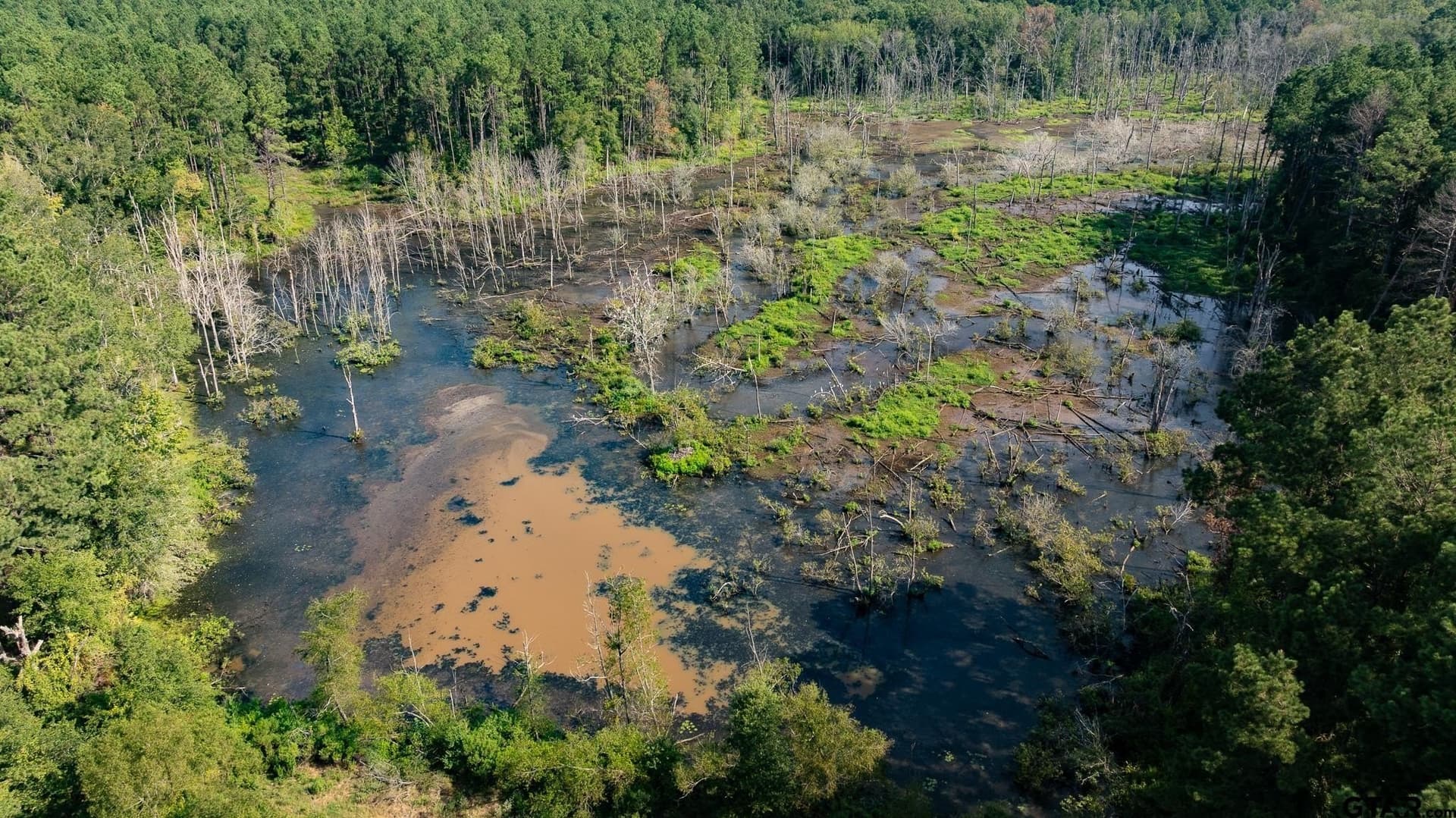 327.55 acres in Rusk County - photo 10