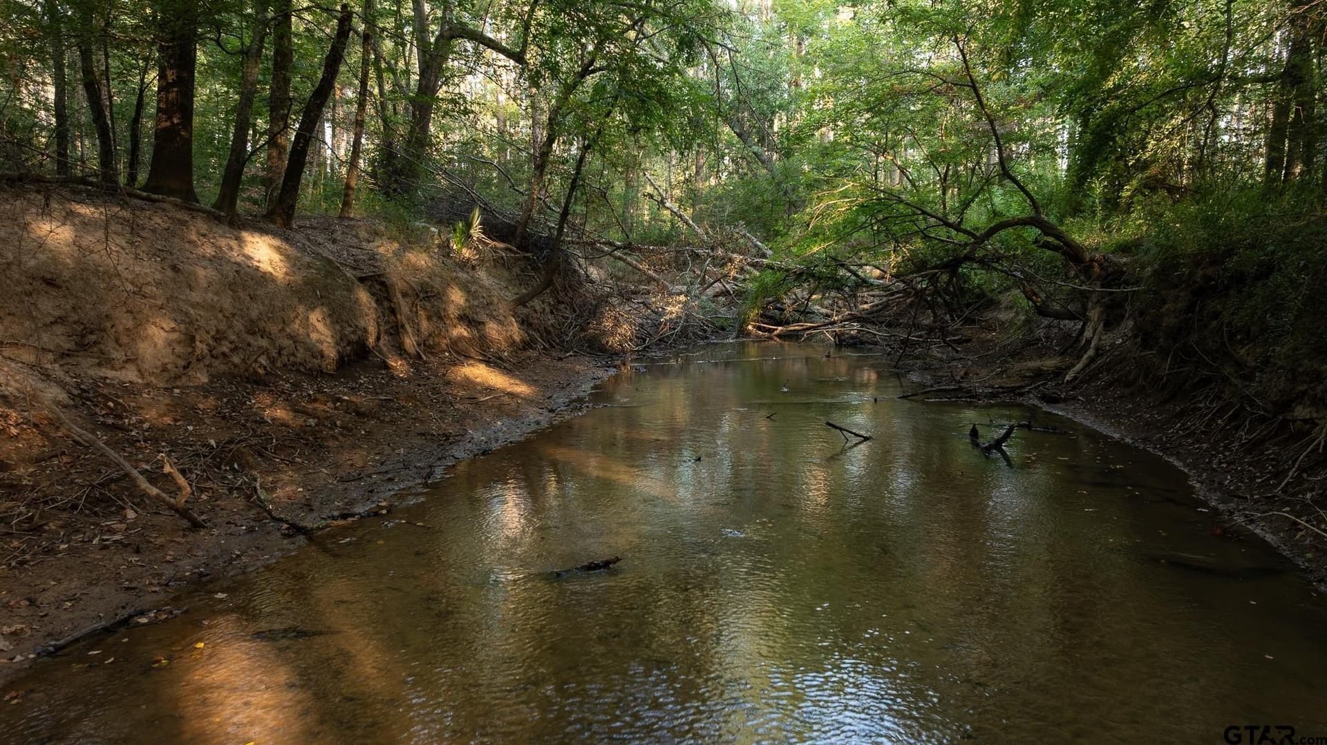 327.55 acres in Rusk County - photo 41