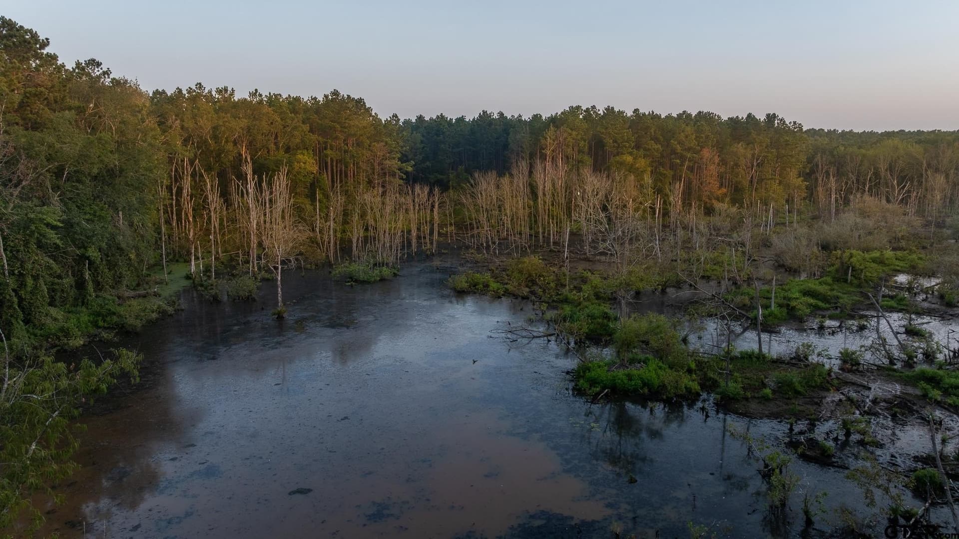 327.55 acres in Rusk County - photo 33