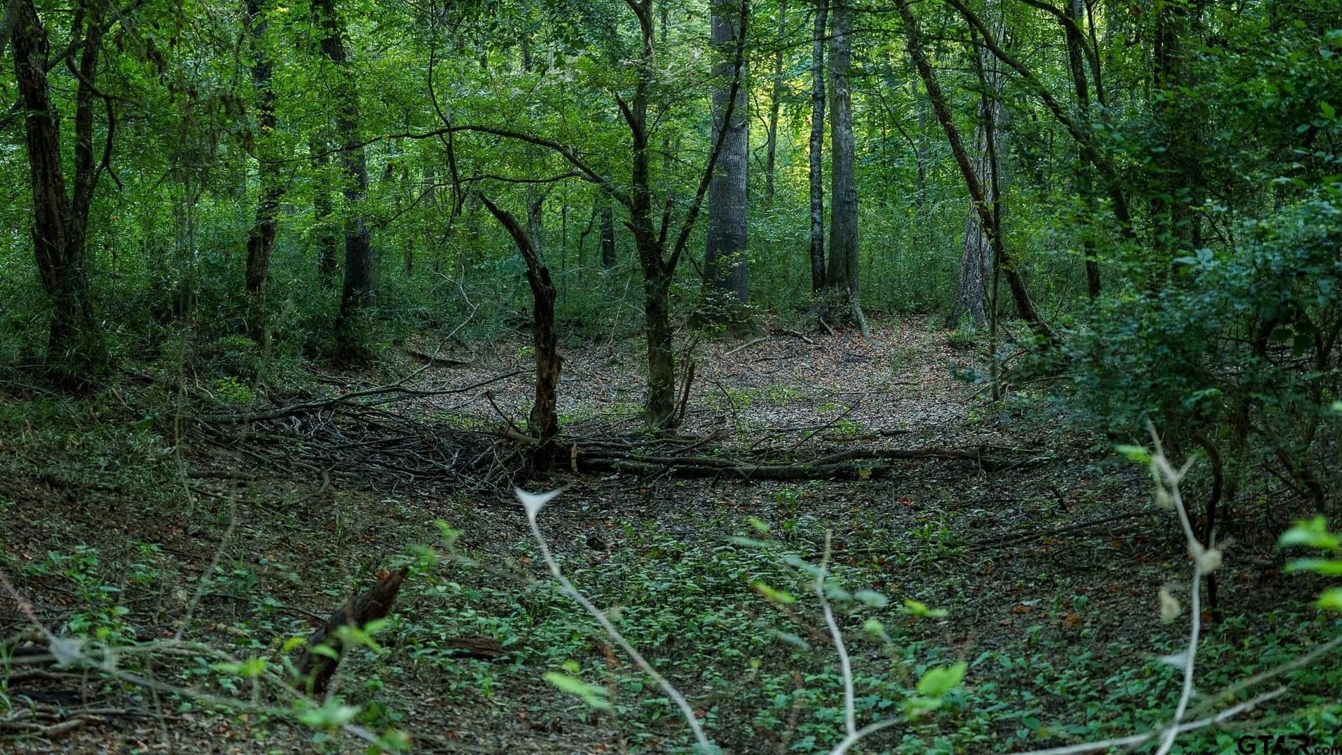 327.55 acres in Rusk County - photo 20