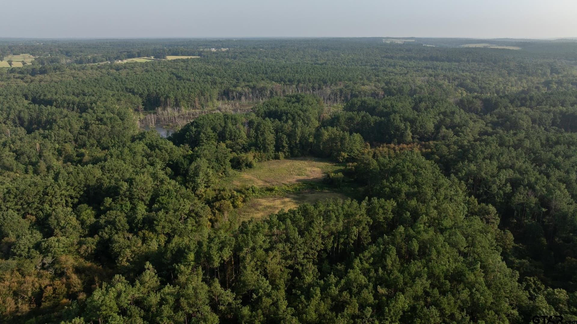 327.55 acres in Rusk County - photo 4