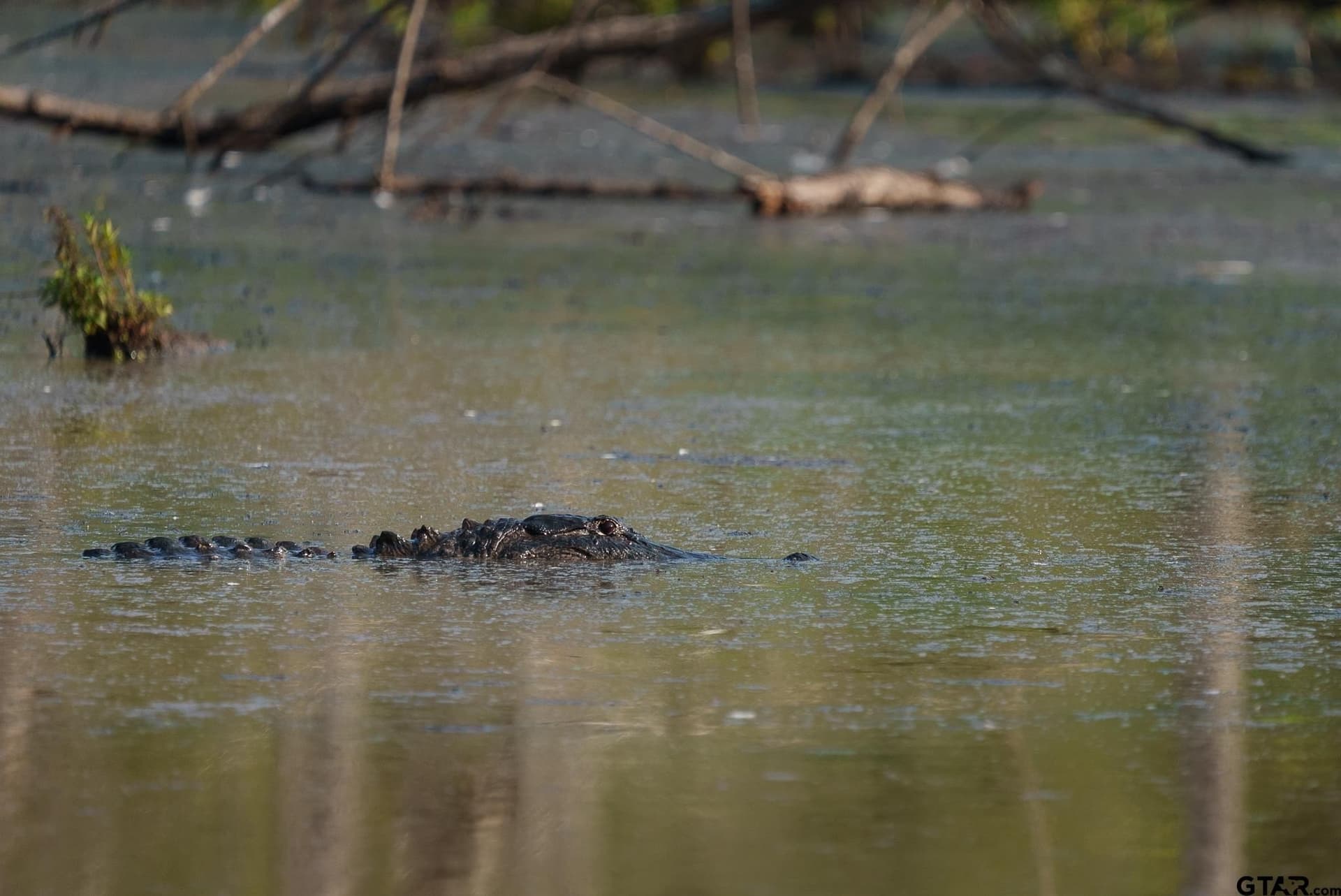 327.55 acres in Rusk County - photo 25