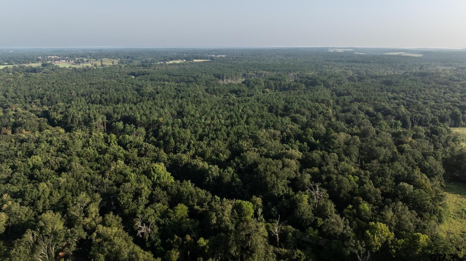 327.55 acres in Rusk County - photo 2