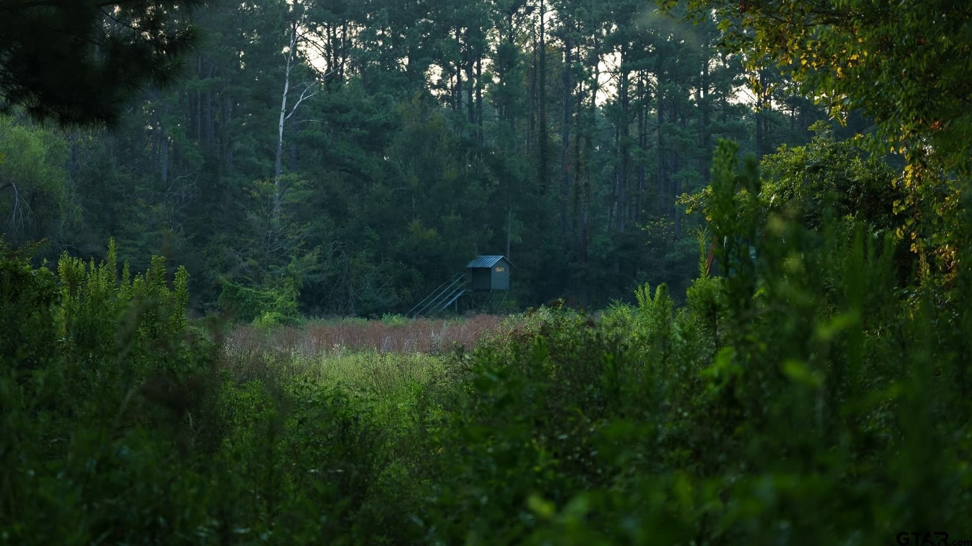 327.55 acres in Rusk County - photo 16