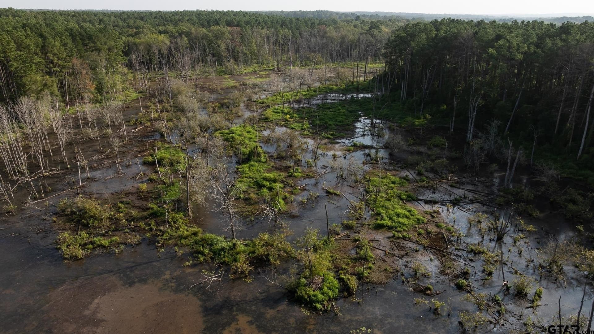 327.55 acres in Rusk County - photo 6