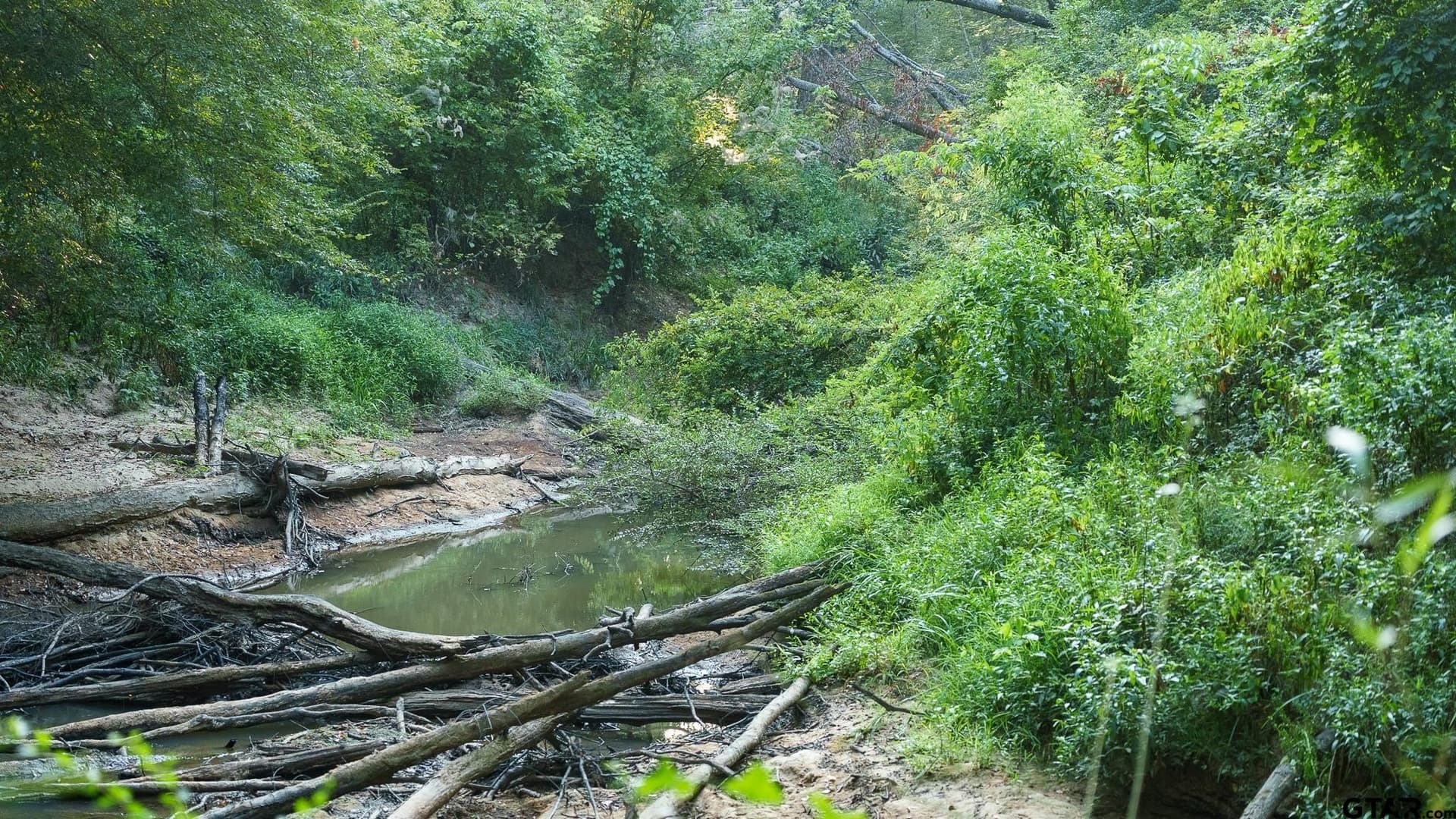 327.55 acres in Rusk County - photo 22