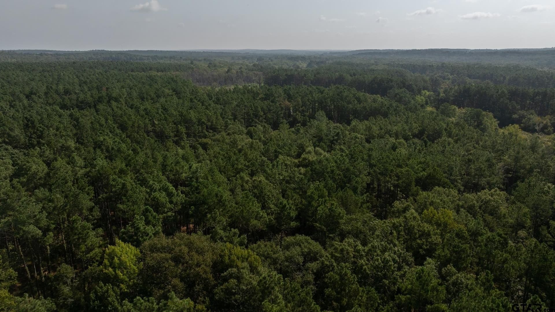 327.55 acres in Rusk County - photo 7