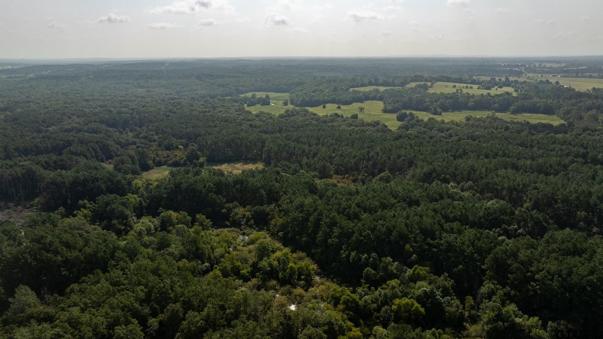 327.55 acres in Rusk County - photo 9