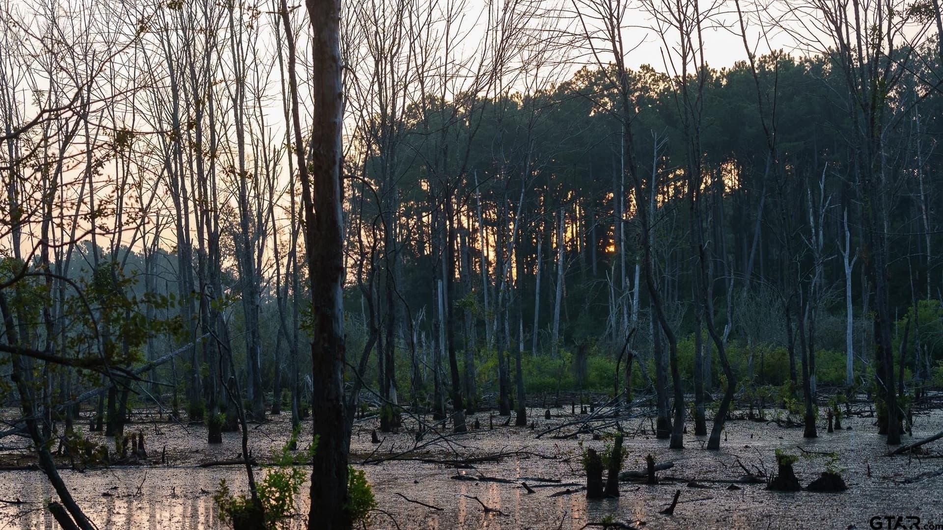 327.55 acres in Rusk County - photo 13
