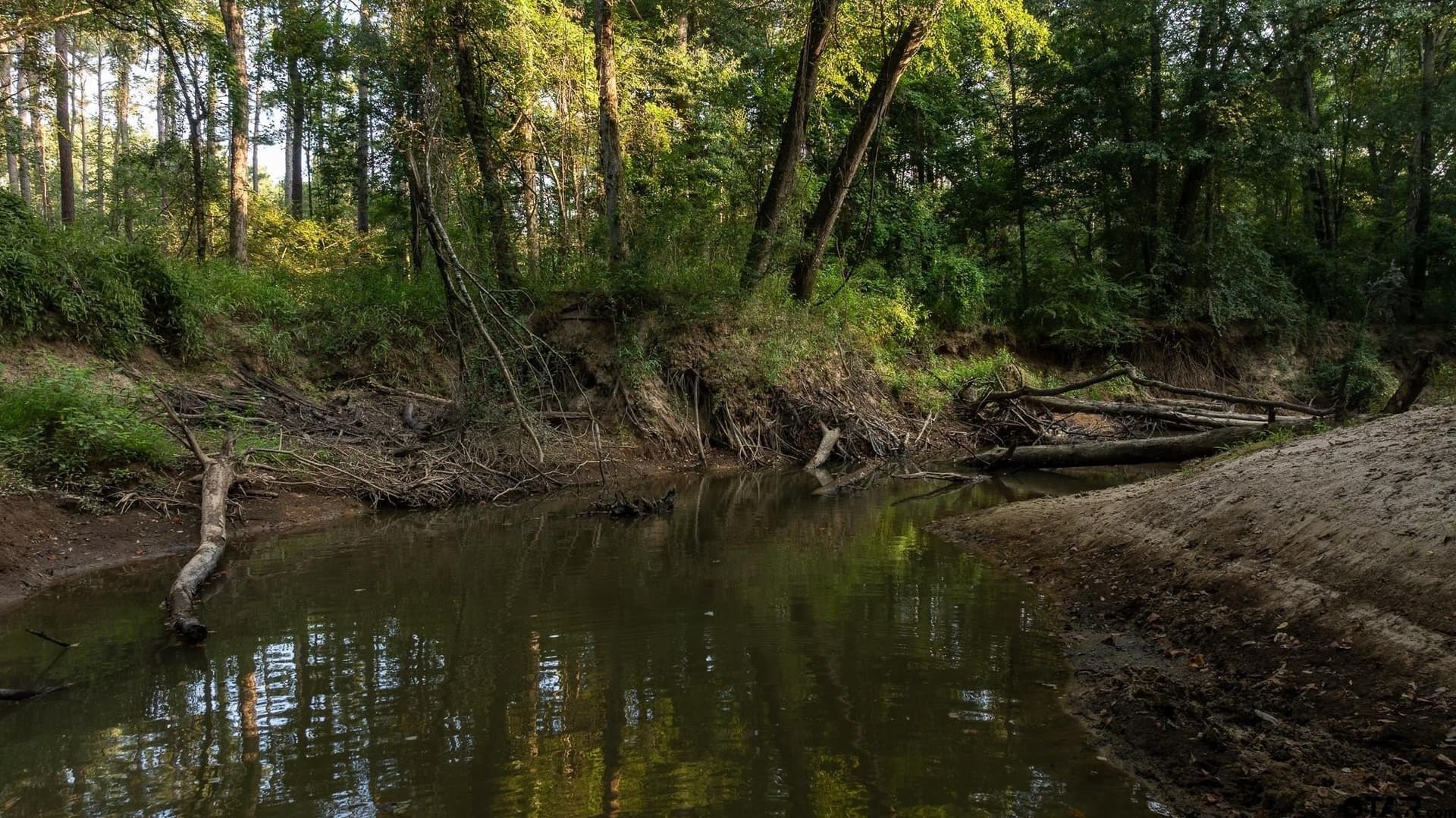 327.55 acres in Rusk County - photo 39
